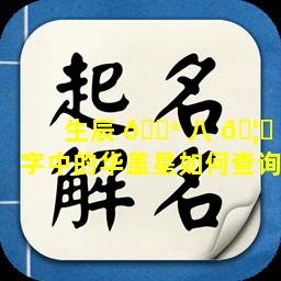 生辰 💮 八 🦆 字中的华盖星如何查询